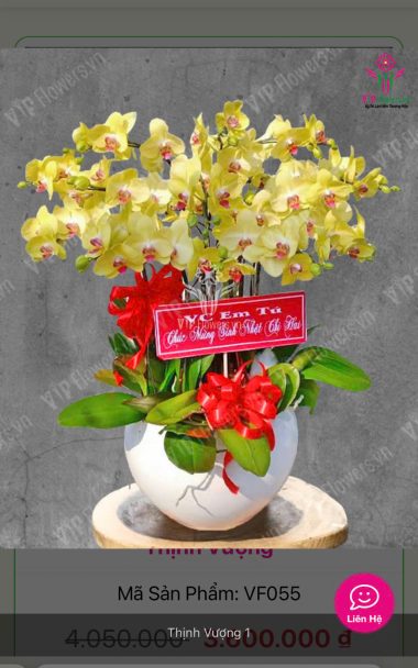 Lan Hồ Điệp L20