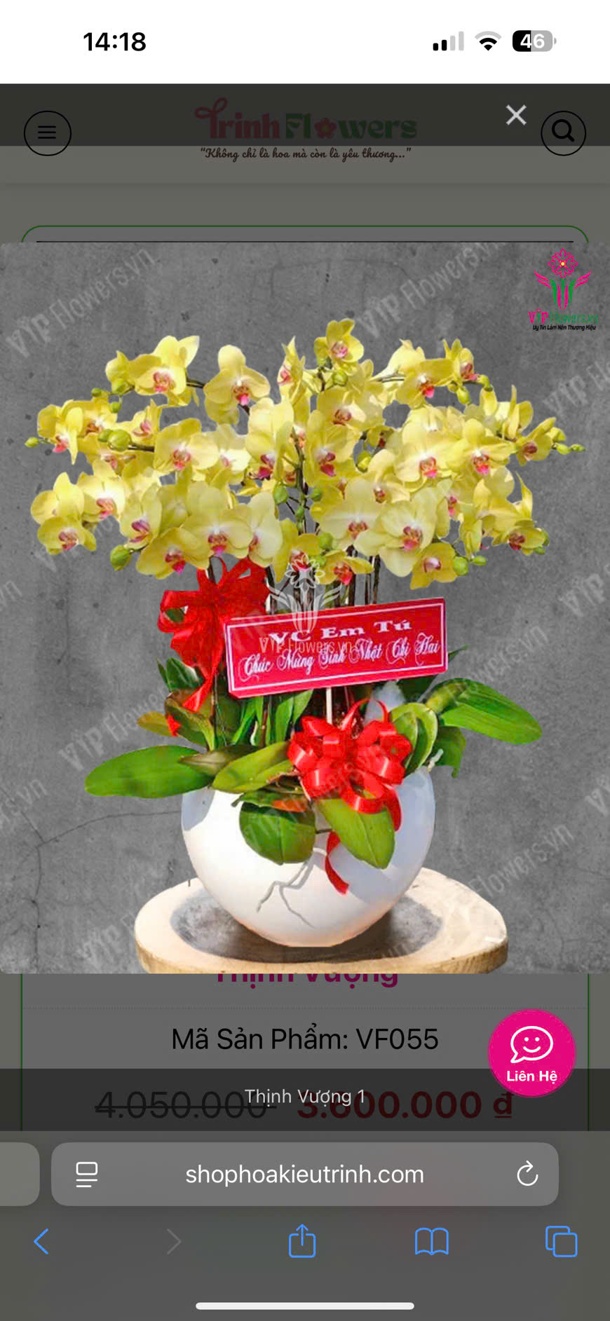 Lan Hồ Điệp L20